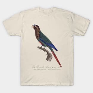 La Perruche Ara, a gorge variee Parakeet - Jacques Barraband 19th century Illustration T-Shirt